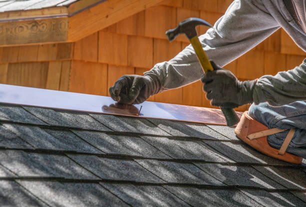 Best Solar Panel Roofing Installation  in Potomac Park, CA